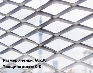 Сетка ЦПВС 60х30 s=0.8